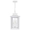 Quoizel Wakefield Outdoor Hanging Lantern WKF1911W - alternate 4